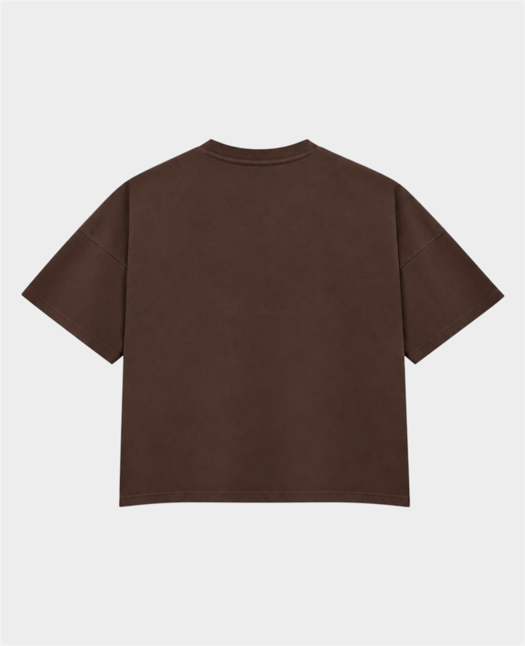 Remera Básica Boxy Marrón