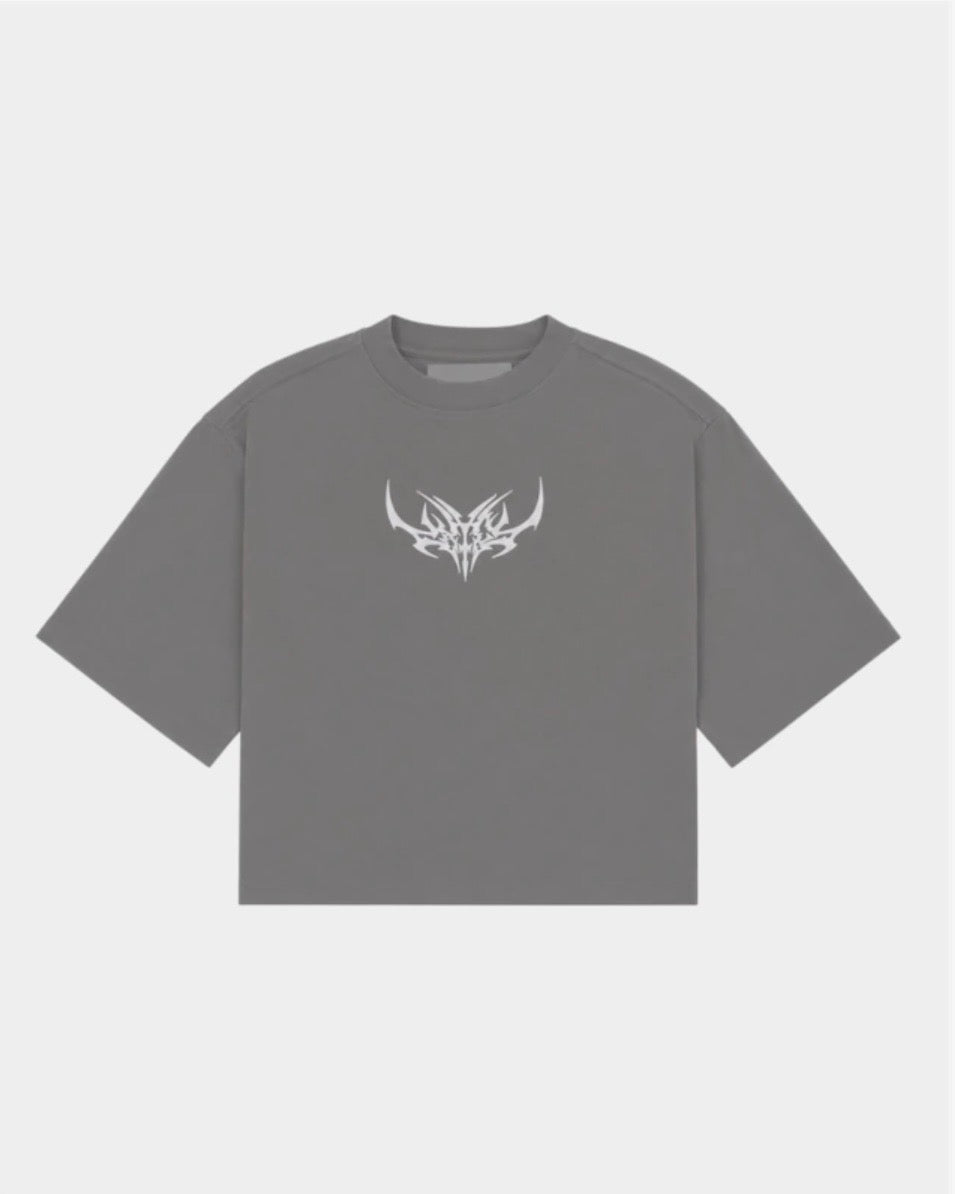 Remera Boxy Nova Gris