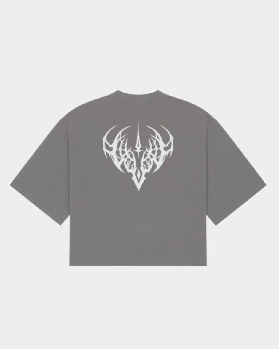Remera Boxy Nova Gris