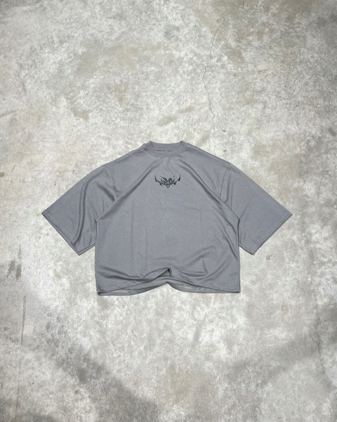 Remera Boxy Nova Gris